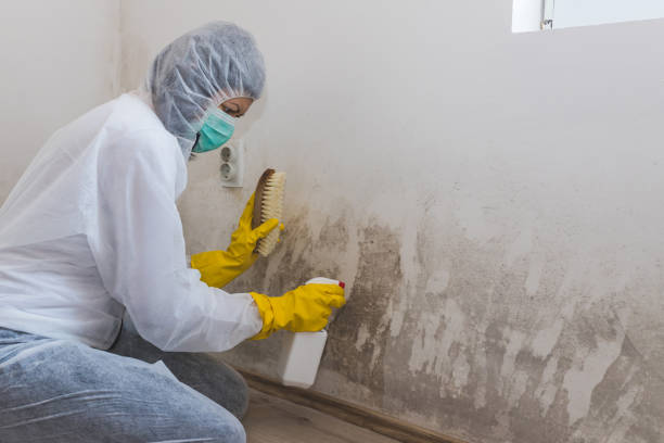 Best Residential Mold Inspection & Testing  in Pantego, TX