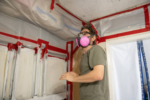 Best Mold Remediation for Healthcare Facilities  in Pantego, TX