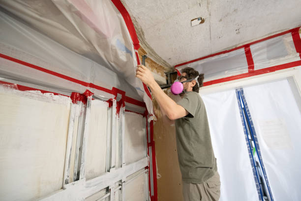 Best Asbestos and Lead Testing During Mold Inspection  in Pantego, TX