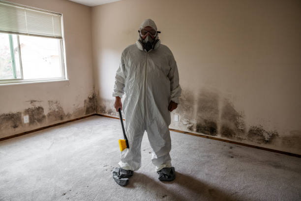 Best Forensic Mold Investigation  in Pantego, TX