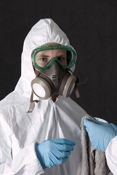 Reliable Pantego, TX Mold Removal Solutions