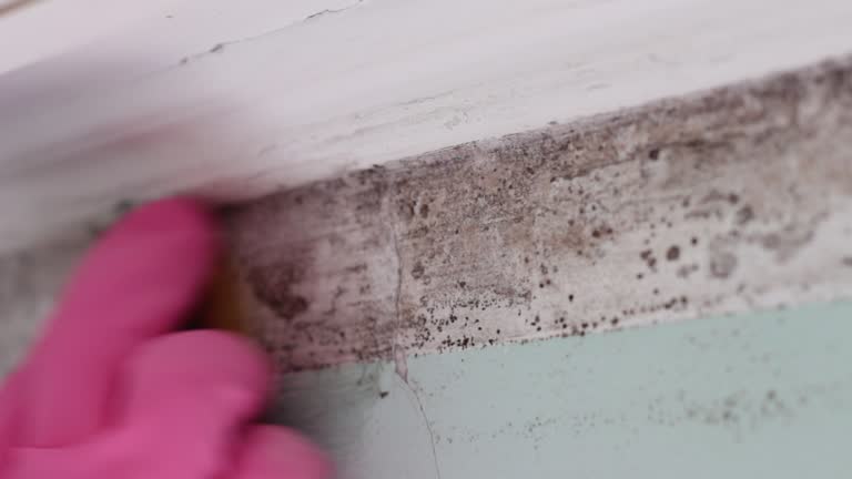 Best Indoor Air Quality Assessment  in Pantego, TX